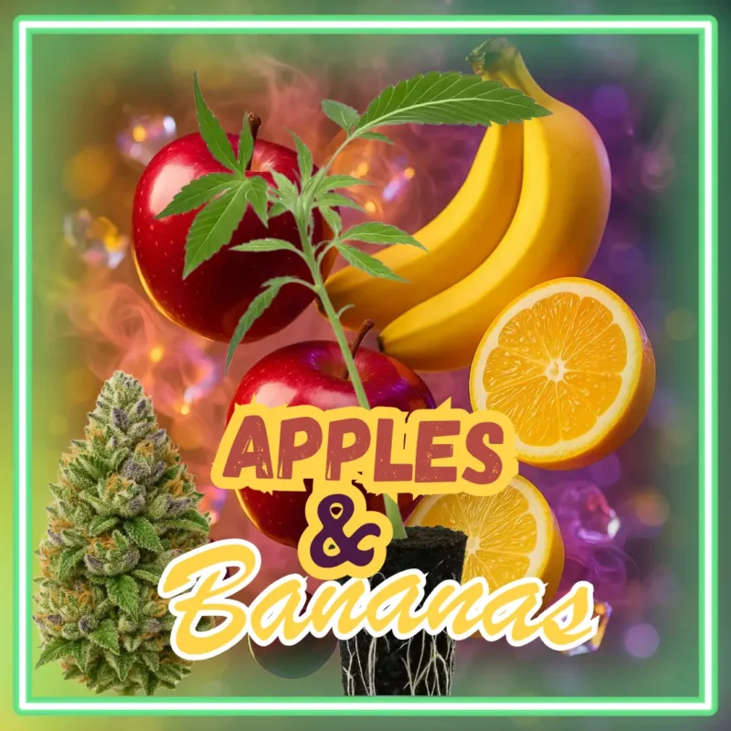 Apples & Bananas Stecklinge Apples & Bananas Stecklinge