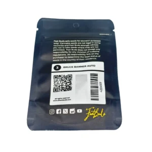 Fast Buds Bruce Banner Auto Verpackung hinten