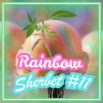 Rainbow Sherbet #11