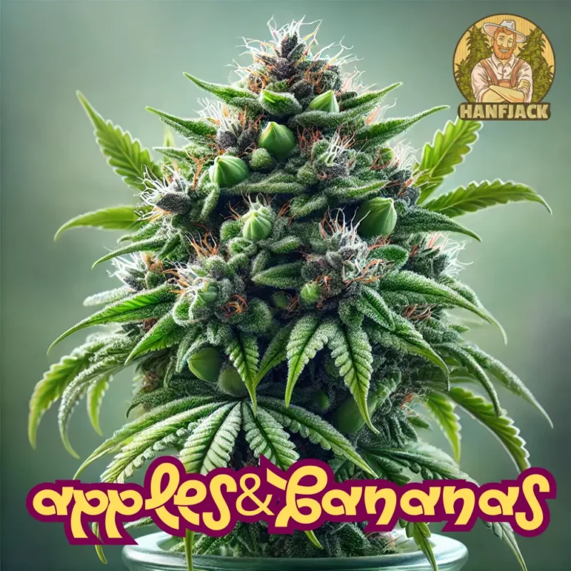 Apples & Bananas Cannabis Stecklinge von Compound Genetics - KI generiertes Bild