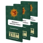 Barneys Farm Mimosa x Orange Punch Verpackung