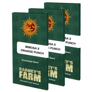 Barneys Farm Mimosa x Orange Punch Verpackung