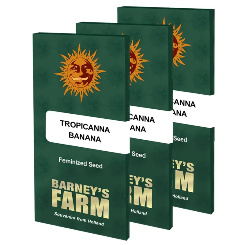 Barneys Farm Tropicanna Banana Verpackung