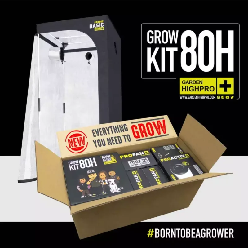 led growbox set 80x80 garden highpro 2