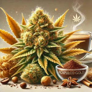 Mehr über den Artikel erfahren Acapulco Gold