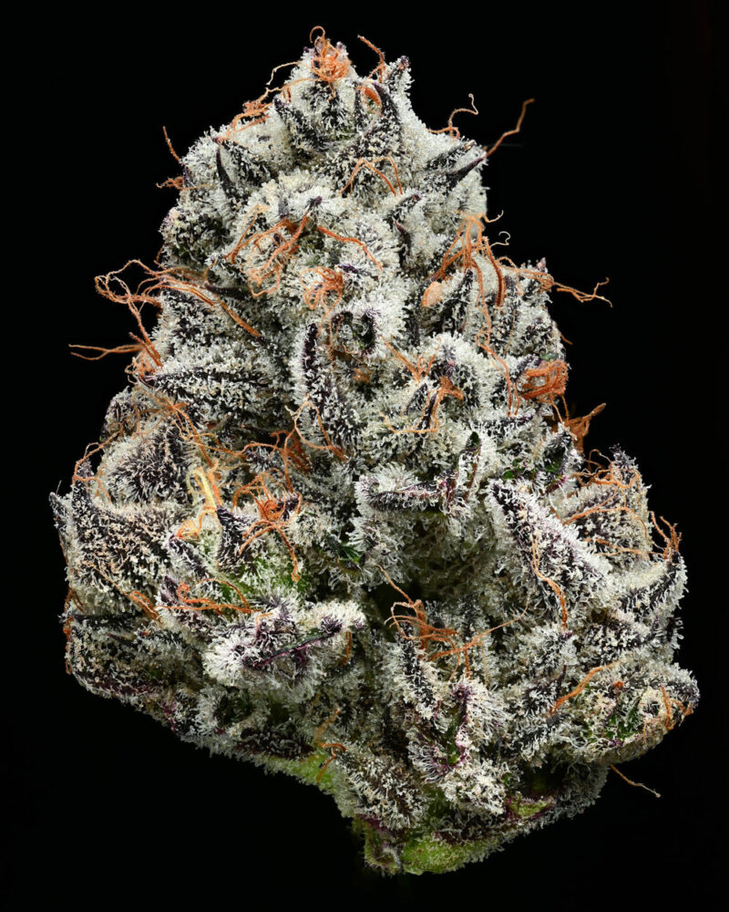 Barneys Farm Black Cherry Gushers 2