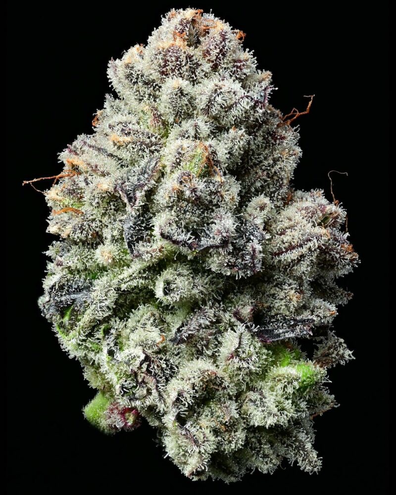 Barneys Farm Lemon Cherry Gelato 3