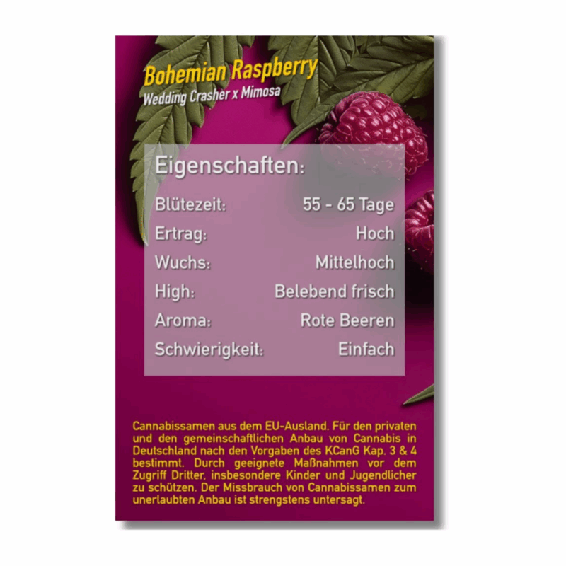 Dope Seeds Bohemian Raspberry 2