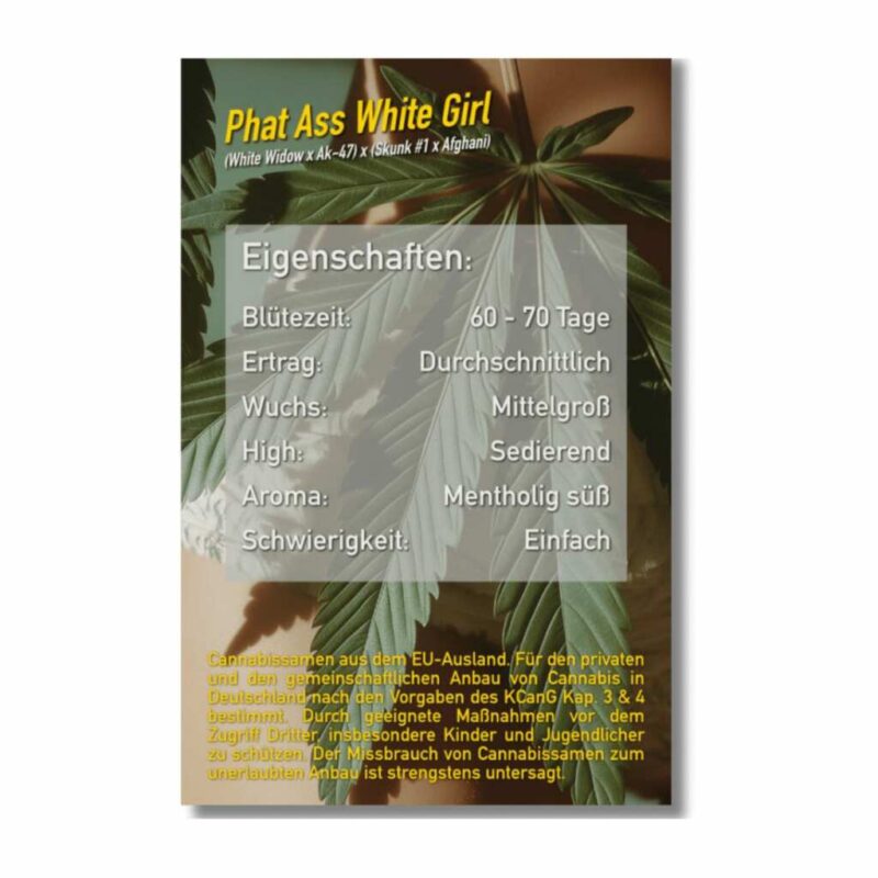 Dope Seeds PAWG 2
