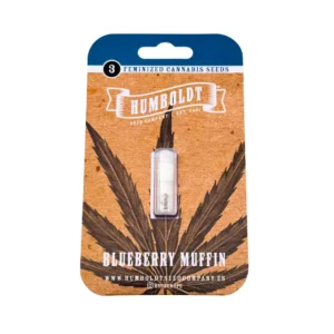 Humboldt Seed Co Blueberry Muffin Verpackung vorne