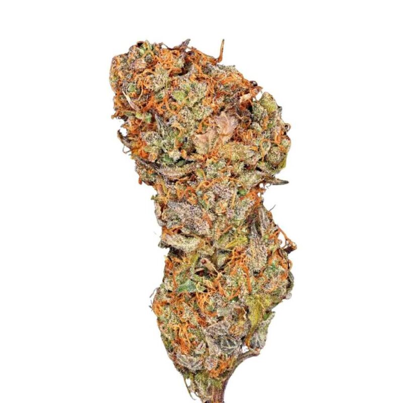Paradise Seeds Apricot Candy 4