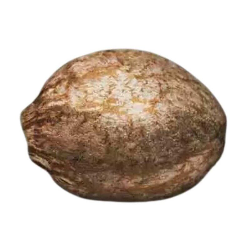 Paradise Seeds CBDream Feminisierte CBD Samen 3 Samen 2