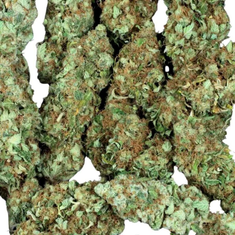 Paradise Seeds Nebula Feminisierte Cannabissamen 4