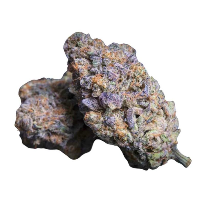 Paradise Seeds Sweetopia 4