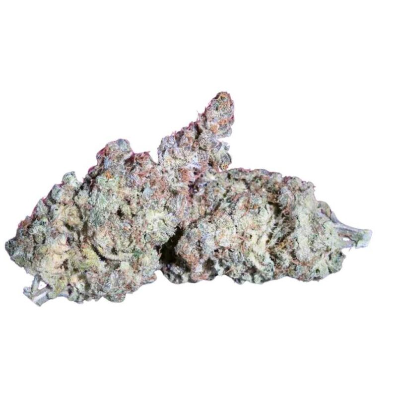 Paradise Seeds White Noise 2