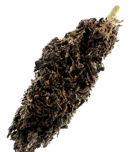 Sweedbar Purple Haze CBD Blüten 5g 2