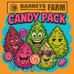 Barneys Farm Candy Pack HJ