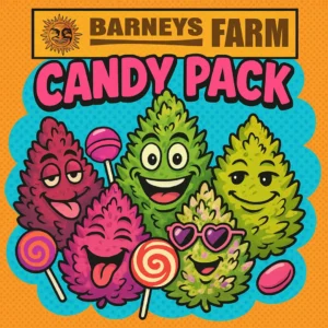 Barneys Farm Candy Pack HJ