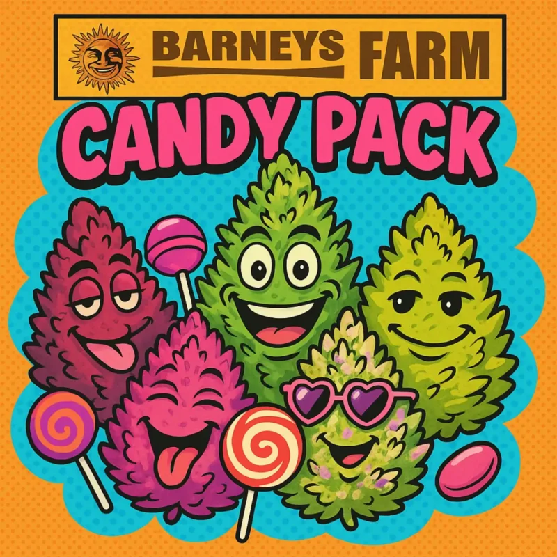Barneys Farm Candy Pack HJ