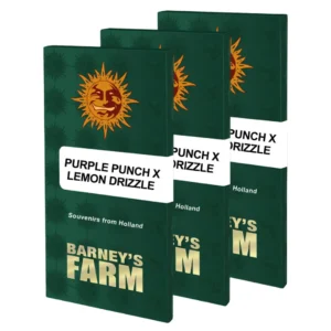 Barneys Farm Purple Punch x Lemon Drizzle Verpackung