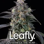 Barneys Farm Super Boof