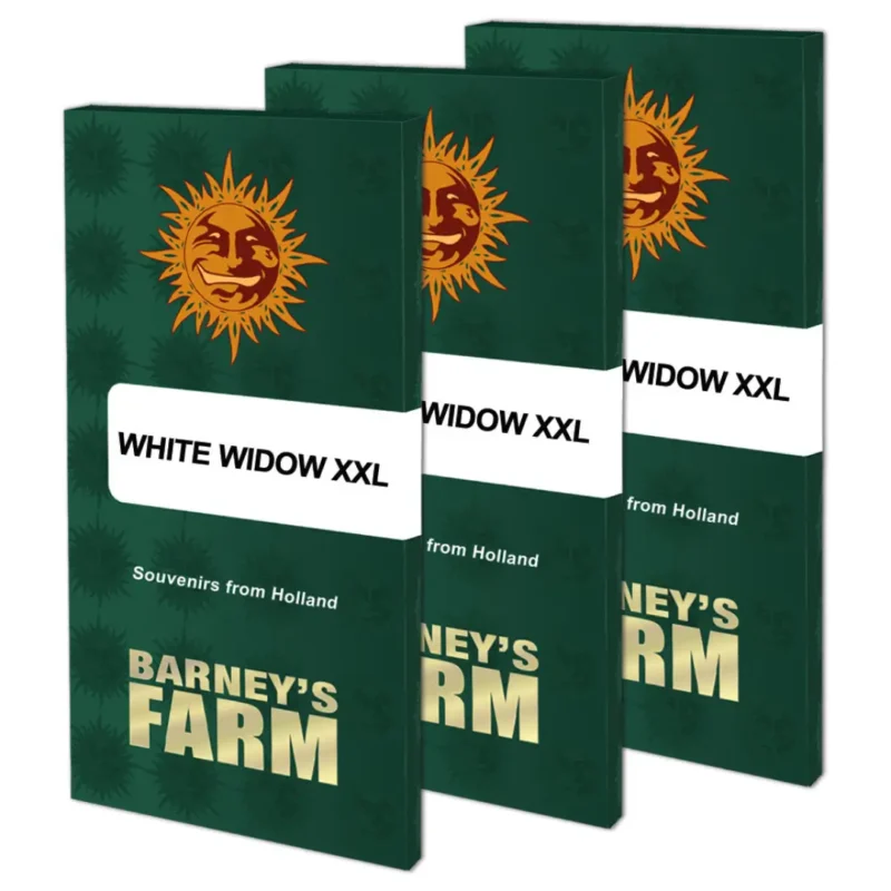 Barneys Farm White Widow XXL Verpackung