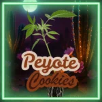 Peyote Cookies