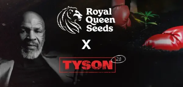 Banner Tyson 630x300