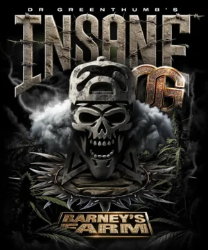 Barneys Farm Insane OG
