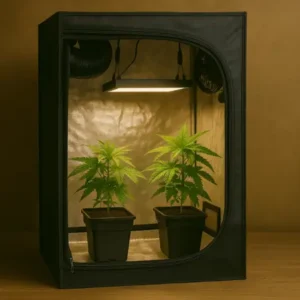 Growboxen