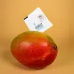 Integra Boost Terpene Myrcene Mc 62% 4g