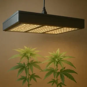 LED Growlampen