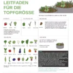 Root Pouch Anzucht Töpfe 1 L Ø10x13cm 3