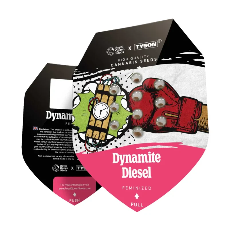 Royal Queen Seeds x Tyson Dynamite Diesel