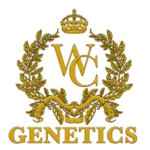winner cycle genetics