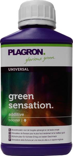 Plagron Green Sensation – Bild 2