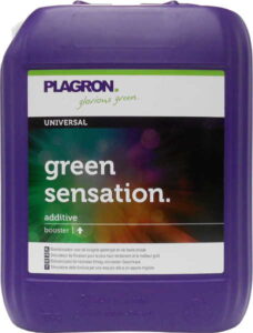 Plagron Green Sensation