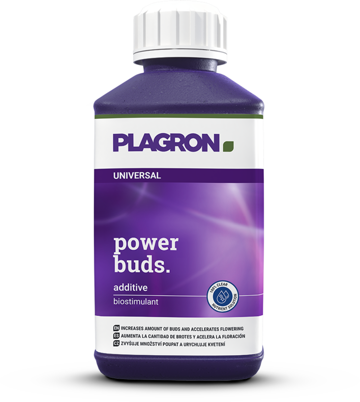 Plagron Power Buds – Bild 2