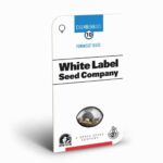 Sensi Seeds Chemberries 2