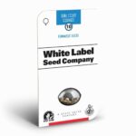 Sensi Seeds Girl Scout Cookies 2