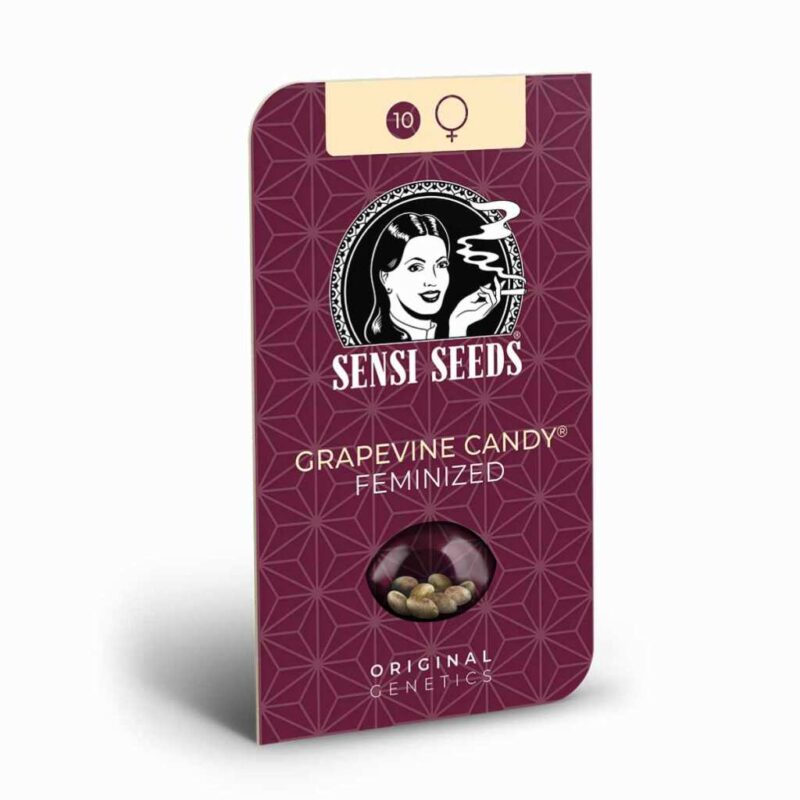 Sensi Seeds Grapevine Candy 2