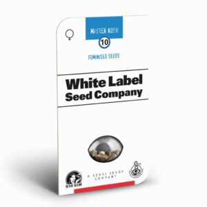Sensi Seeds Master Kush 2