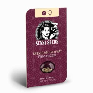 Sensi Seeds Mexican Sativa 2
