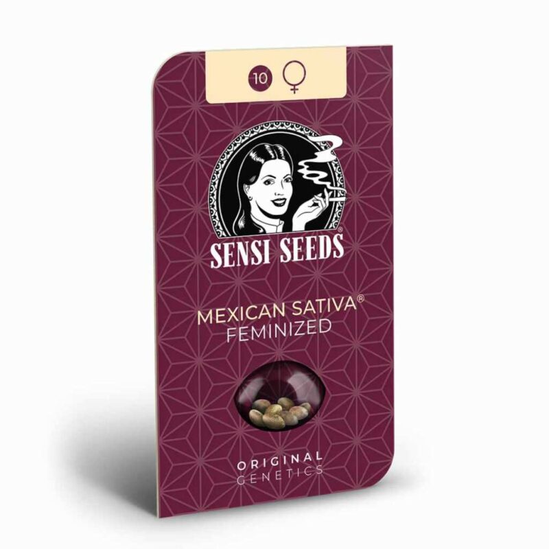 Sensi Seeds Mexican Sativa 2