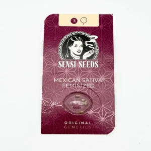 Sensi Seeds Mexican Sativa Verpackung vorne