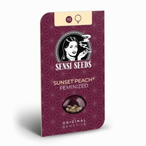 Sensi Seeds Sunset Peach 2