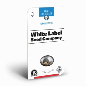 Sensi Seeds Vlad the Inhaler 2