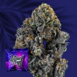 Wizard Trees Big Z