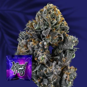 Wizard Trees Big Z