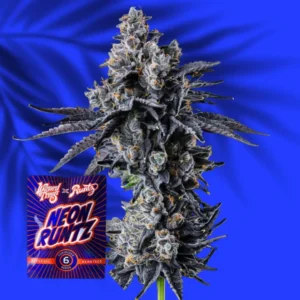 Wizard Trees Empire 54